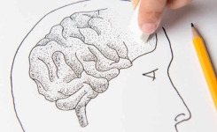 Alzheimer aurait un lien avec le manque de sommeil 