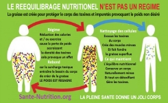 Comment réduire naturellement les envies de malbouffe