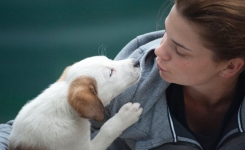Pourquoi il vaut mieux ne PAS tomber amoureux d'une femme qui aime les chiens