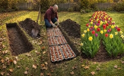 Planter des bulbes avec des boîtes à œufs : une astuce simple et efficace