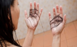 Remède naturel : les feuilles de goyave pour renforcer vos cheveux 🌿