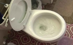 Cette astuce pour conserver la toilette propre est brillante !! Et vous avez le produit à la maison! 