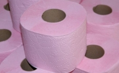 Le papier toilette est-il vraiment sans danger ? Ce qu’il faut savoir