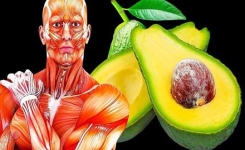 Que se passe-t-il dans votre corps si vous mangez un avocat chaque jour ?