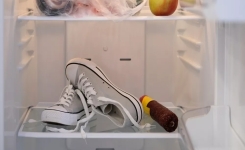 Pourquoi mettre ses chaussures au congélateur ?