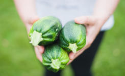 Cultiver des courgettes chez soi: ce qu’il faut vraiment savoir