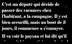 C’est un député qui décide de passer des vacances chez l’habitant…