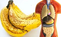 Voici le régime banane : un moyen sain de perdre 1,5 kilos 