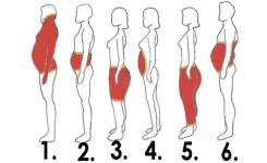 6 types de graisse corporelle et comment s'en débarrasser 